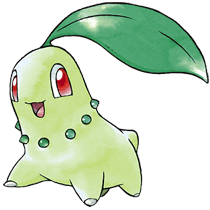 Chikorita