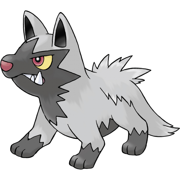 The wild Poochyena who attacked Birch