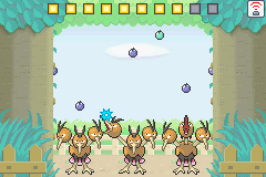 Dodrios Berry Picking