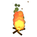 Bonfire