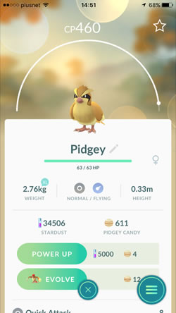 Evolving a Pidgey