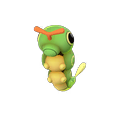 010 Caterpie