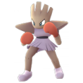 107 Hitmonchan