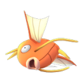 129 Magikarp