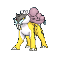 243 Raikou
