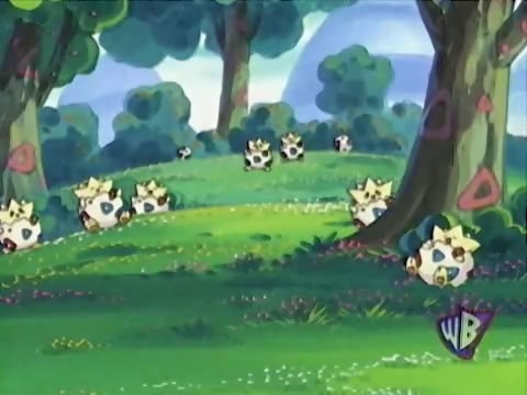 5   A Togepi Mirage