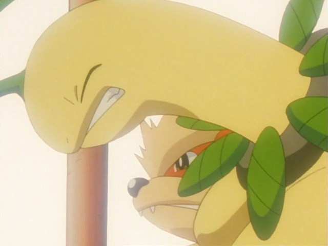 Pokemon 228 Extreme Pokemon .MKV snapshot 19.08 Pokemon 228 Extreme Pokemon .MKV snapshot 19.08