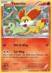 10 Fennekin 10 Fennekin