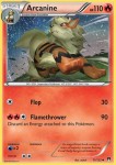 11 Arcanine 11 Arcanine