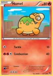 12 Numel 12 Numel