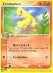25 Combusken