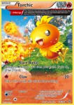 Torchic