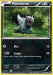 53 Poochyena