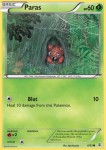 6 Paras