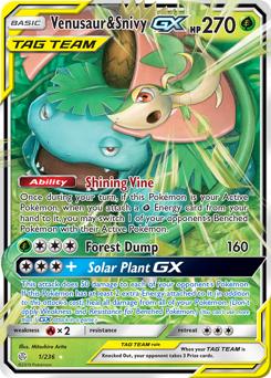 1 Venusaur & Snivy-GX