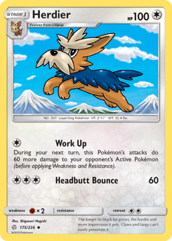 175 Herdier