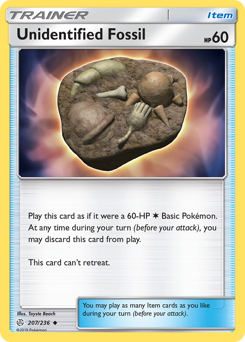 207 Unidentified Fossil