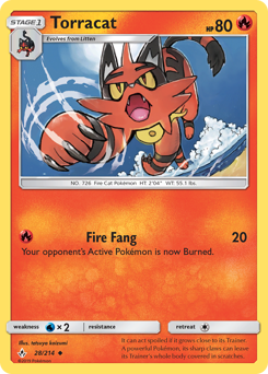 28 Torracat