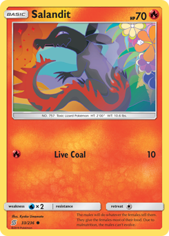 33 Salandit