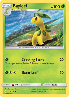 7 Bayleef