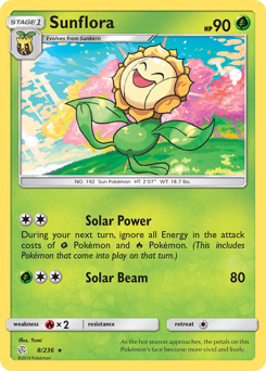 8 Sunflora