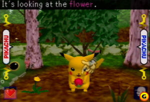 337448 hypikachu 1103 038