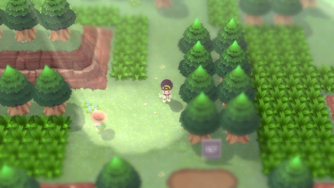 Eterna Forest