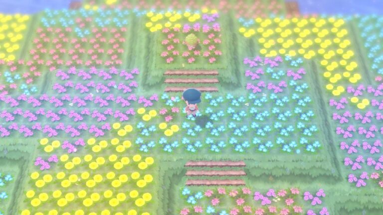 Flower Paradise