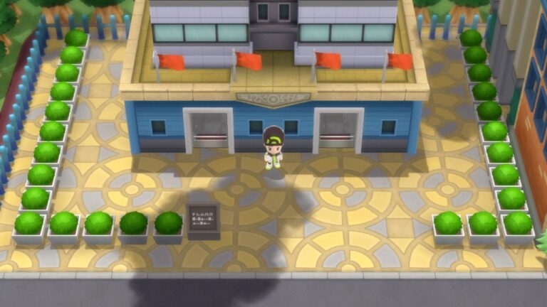 The Pokétch Company