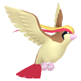 Pidgeot
