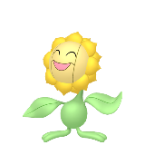 Sunflora