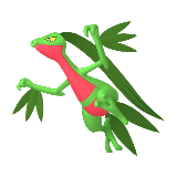 Treecko &rarr; Grovyle