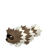 Zigzagoon