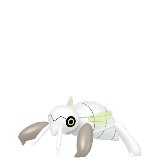 Nincada