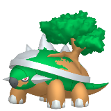 Torterra
