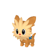 Lillipup