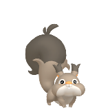 Skwovet
