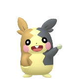 Morpeko