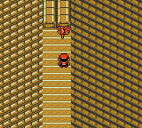 Ho-Oh on the Tin Tower roof
