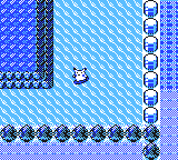 A Surfing Pikachu on Route 19