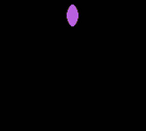 pokemon crystal screenshot 11