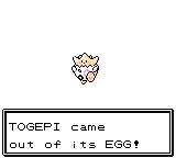 The Mystery Egg hatches into Togepi.