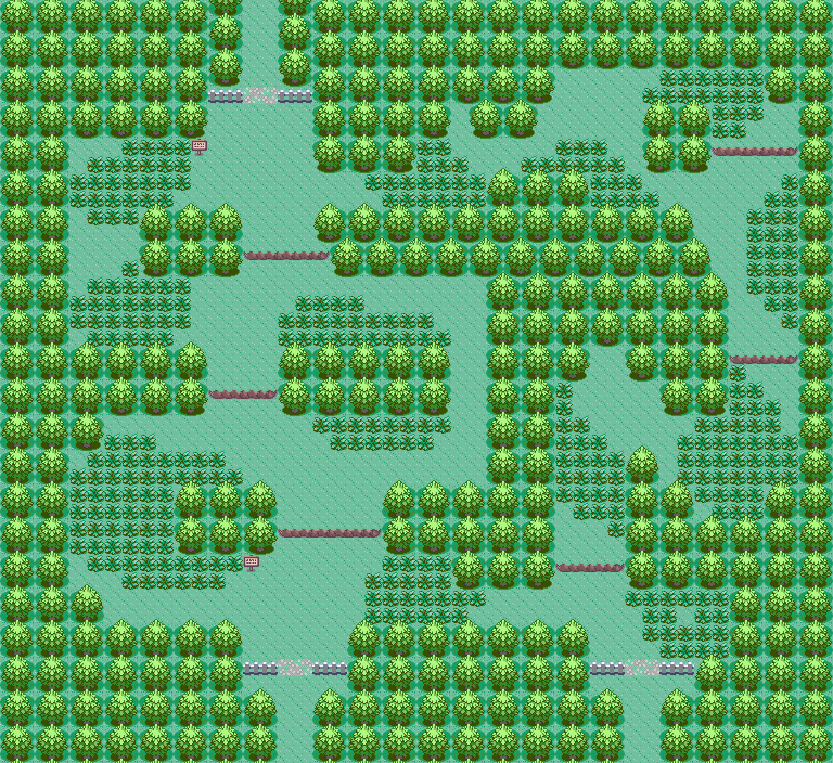 Petalburg Woods & Rustboro City interior map