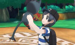 starter Litten 01 M  1 .0